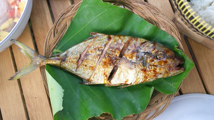Grilled reef fish